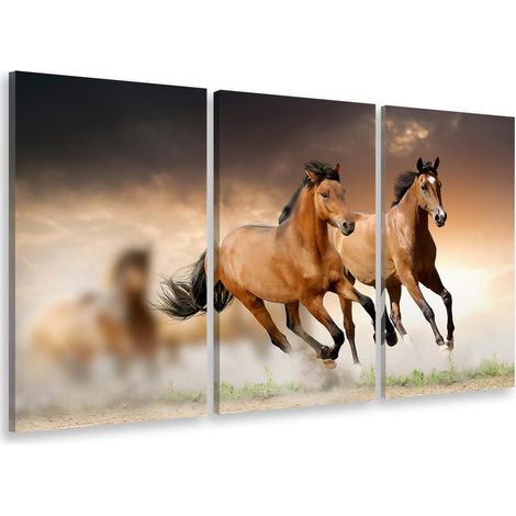 Tableau triptyque Tableau photo chevaux en plein galop - 90x60 cm Toile imprimée (1/5)
