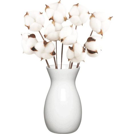 BARKBUSTERS 10 Pack Fleurs de Coton Sechee Naturelle Fleurs Sechees Tige Coton Fleur Naturel Fausses Branches Coton Fausses Plantes Décoration pour Balcon Maison Table Composition Florale (1/5)