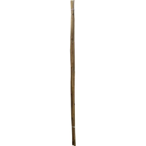 Tonkinstab 120 cm Ø 8/10 mm 10er Pack Pflanzstab