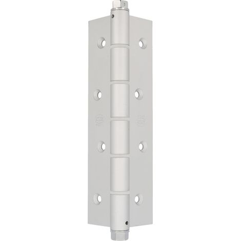 AMIG Charnière va-et-vient simple action 3034 180 x 80 x 4 mm Aluminium Argent (1/5)
