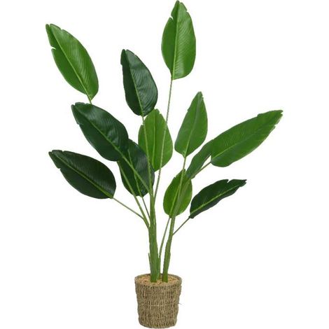 Pianta Strelitzia artificiale