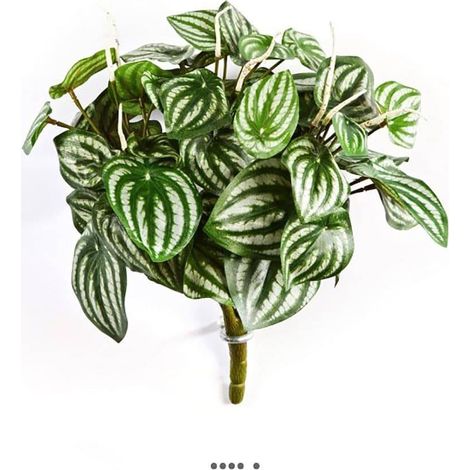 Peperomia artificiel Vert Blanc 30 cm 52 feuilles en piquet (1/3)