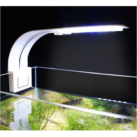 Lampe LED pour aquarium, lumière blanche et bleue, pour poissons et plantes aquatiques, conçue pour l'observation quotidienne du milieu sous-marin.-AquaForge