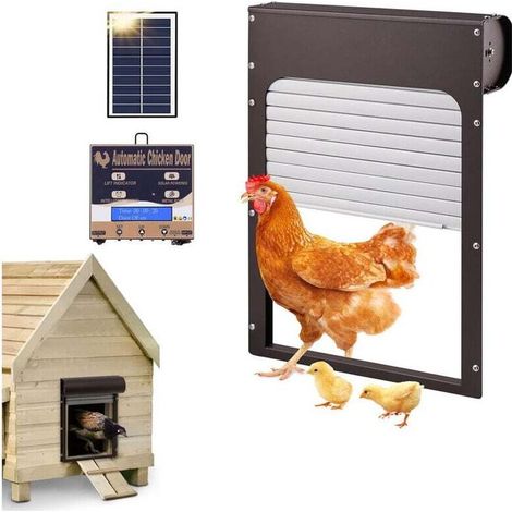 Porte Automatique Poulailler, Porte de poulailler Automatique avec minuterie, Porte alimentée par Piles ou par énergie Solaire pour volailles (1/4)