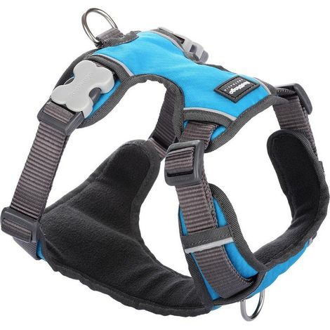 Red Dingo Harnais Rembourré Turquoise Taille S pour Chien