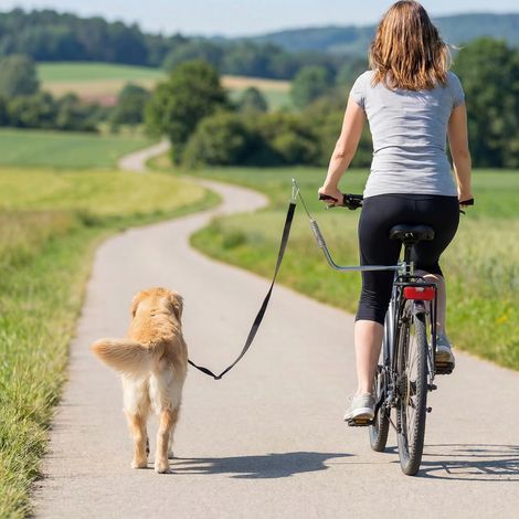 Laisse de vélo pour chien en inox fixation rapide sangle ajustable ressort amortisseur argent 180 cm style élégant