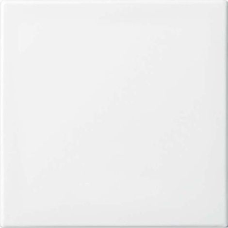 BUSCH-JAEGER 2546-914 WIPPE ANSCHRAUBBAR (HALTEELEMENT), BUSCH-BALANCE SI, ALPINWEISS 2CKA001434A0662