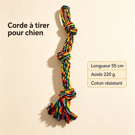 Jouet pour Grand et Moyen Chien - Corde à Nœuds en Coton Arc-en-Ciel 55cm 220g, Jouet à Mâcher Résistant, Jeu Interactif de Traction, Nettoyage Dentaire, Accessoire Robuste avec Poignée, Chien Actif (1/5)