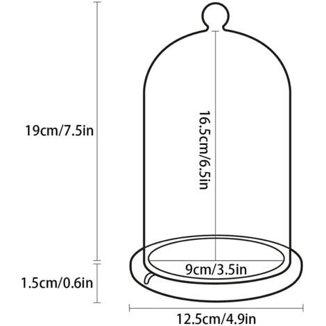 Cloche en verre clair avec fond en bambou pour décoration de mariage, fêtes et arrangements floraux, polyvalent et pratique (1/5)