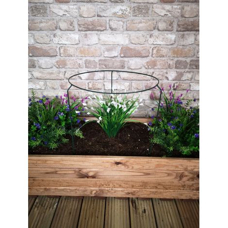 Tom Chambers Urban Metal Herbaceous Garden Plant Support Ring Large 40cm x 60cm (1/5)