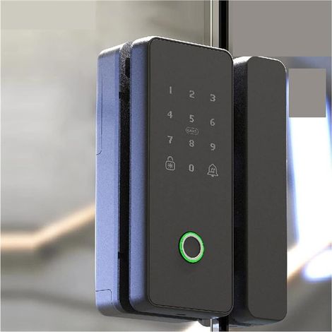 Serrure de porte intelligente Serrure de porte d'empreintes digitales en verre Wifi Tuya serrure de porte électronique biométrique intelligente serrure numérique perceuse gratuite for le bureau ( Colo (1/5)