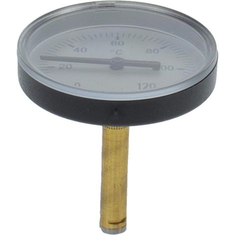 BOSCH Thermometer blau, 8738212798