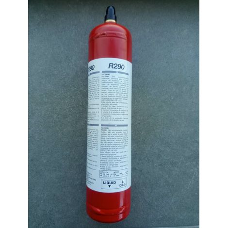 Botella desechable R290 370gr. (1/2)