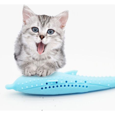 Spazzolino da denti per gatti a forma di pesce, spazzolino per animali domestici con menta per gatti, in silicone
