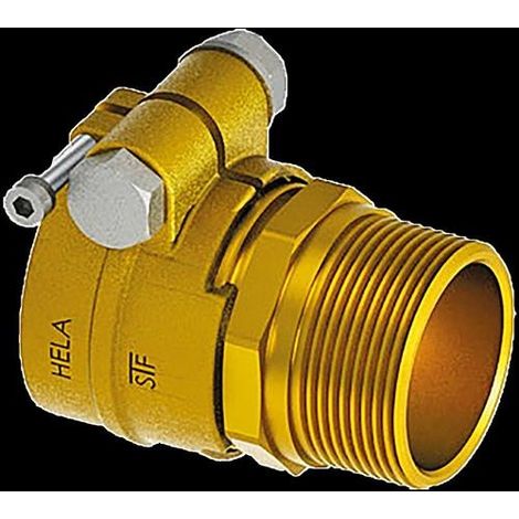 AS  AustroPEX  WPP  Accesorios  Transición  de  compresión  PEX  32  -  1''  AG  PN6 (1/2)