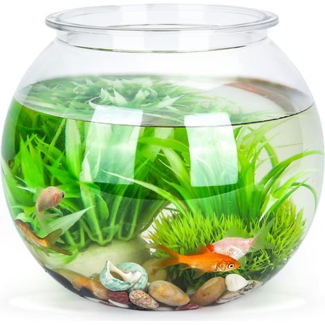 Aquarium - 1 Unité - Plastique - Transparent - Décoration Intérieure - 17,5 cm