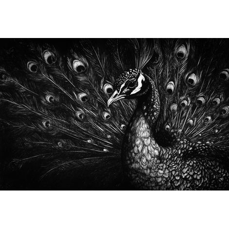 Tableau sur toile paon en noir et blanc 30x45 cm - Impression sur Toile Murale Décorative - Image imprimée en HD sur Toile - Toile sur Châssis en Bois FSC - Fabriqué en France (1/5)