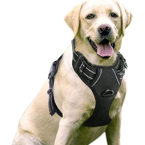 Harnais Chien/Harnais pour Chien anti-traction - Noir taille XL -- Réglable Réfléchissant Matériau Respirant Label (1/4)