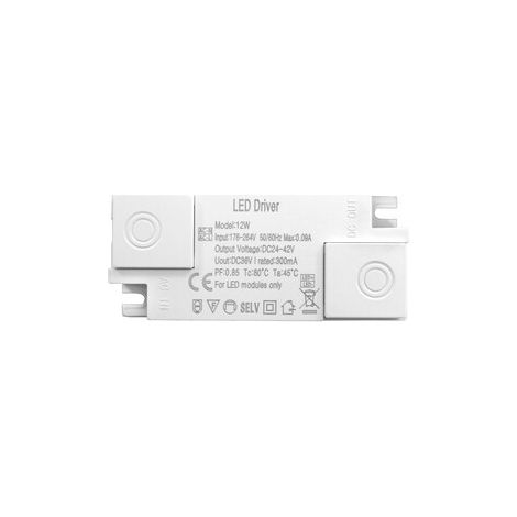 Alimentation Leds 57-75vdc 72v 300ma Driver 81.613/driv/24