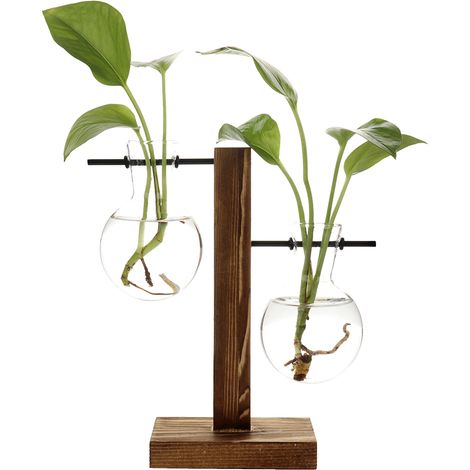 Hydroponische Vase mit Holzständer, Retro-Glasbirnen-Pflanzenvermehrungsstation für die Heimdekoration, 2 Behälter (1/5)