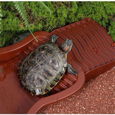 Piscine Tortue Terrestre Mangeoire,Plat d\'eau Bassin pour Tortue de Piscine avec Rampe,Bol d\'eau pour Reptiles avec Échelle,Bassin