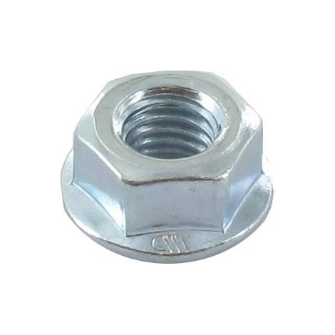 Ecrou hexagonal GGP - CASTELGARDEN 112154220/0