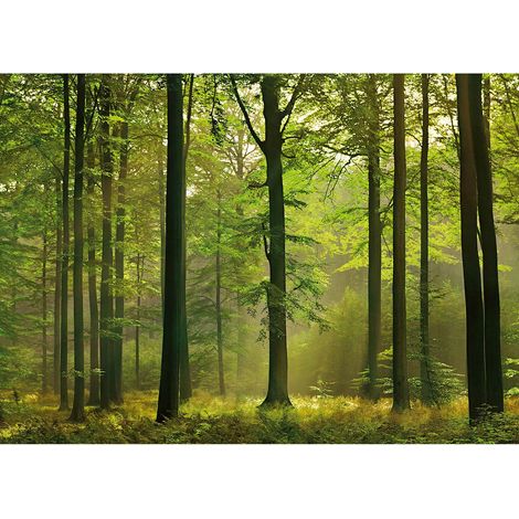 Tableau paysage forêt au printemps | Tableau arbre pour déco salon nature | Tableau sur toile feuilles vertes pour couloir 0,7 x 0,5 m (1/2)