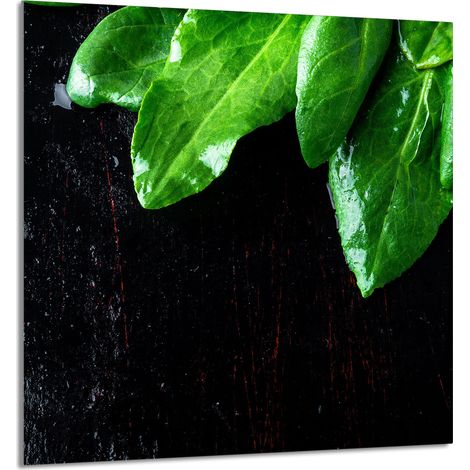 GLASPLATTE FÜR KÜCHE 60x65 Basil (1/5)