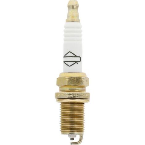 Bougie BRIGGS ET STRATTON 793541