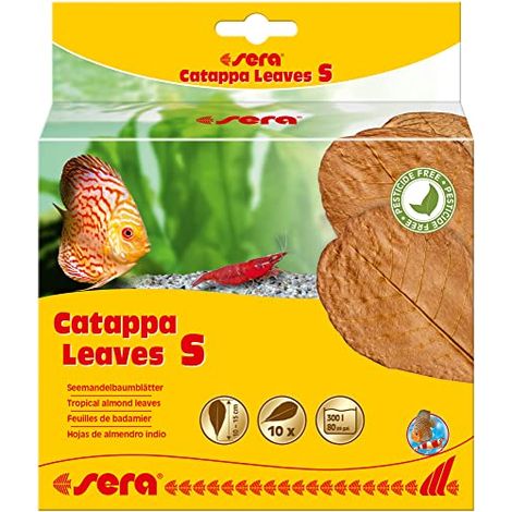 Cura dell'acqua sera catappa leaves foglie naturali 14 cm (1/4)