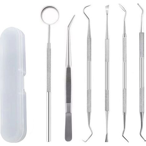 Professional Dental Tools Kit,6 Pcs Teeth Cleaning Tools Set,oral Care Kit (1/5)