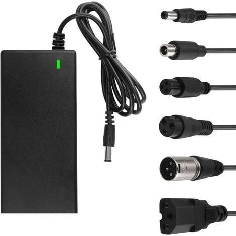 Chargeur batterie lithium-ion 42 V 2 A pour trottinette électrique – 6 connexions compatibles Xiaomi M365, vélo & scooter (1/4)