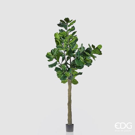 EDG Enzo De Gasperi Ficus Lyrata con Vaso Artificiale H 275 Cm Green