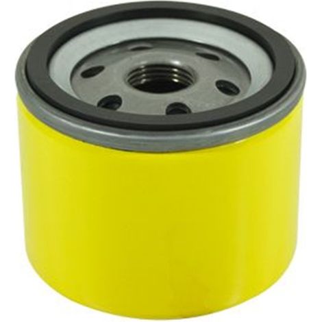 Filtre à huile pour BRIGGS & STRATTON 696854 - 695396 - 795890