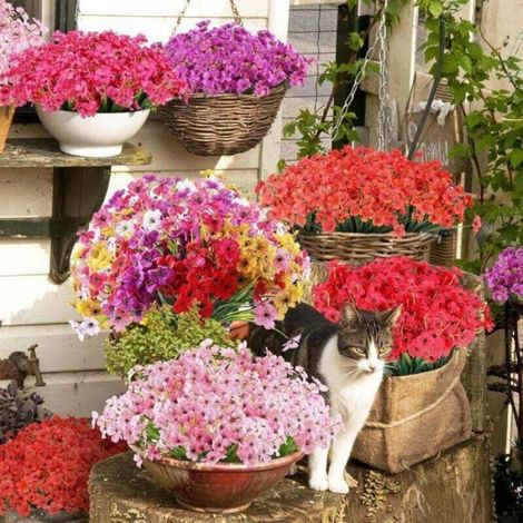 Bouquets De Fleurs Artificielles - Plastique PE Et Tissu Soie - Résistantes Aux Intempéries Et Au Soleil - Pour Extérieur Et Intérieur - 12 Pièces (1/5)