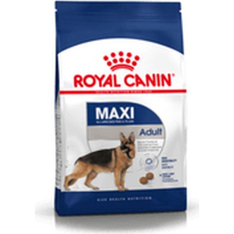 Royal Canin – Croquettes pour chien Maxi Adulte 15 kg – Pour grandes races 26-44 kg – Haute digestibilité et santé des articulations