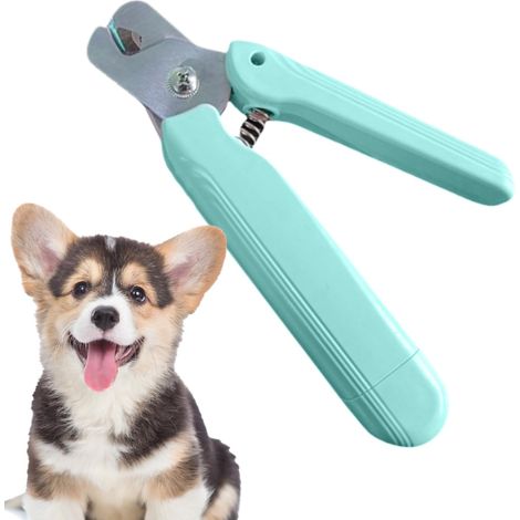 Coupe-ongles en pour animaux de compagnie avec lumière LED électrique outil soins protection contre les éclaboussures 2 1 vert clair (1/3)