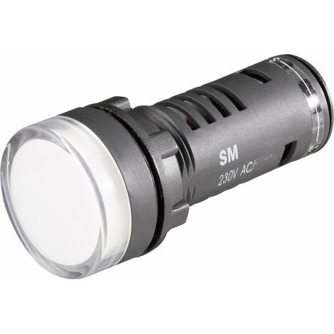 Barthelme 58702413 LED-Signalleuchte Grün 24 V/DC, 24 V/AC