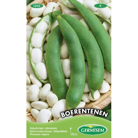 Graines de Haricot à Rames 100 g Multicolore
