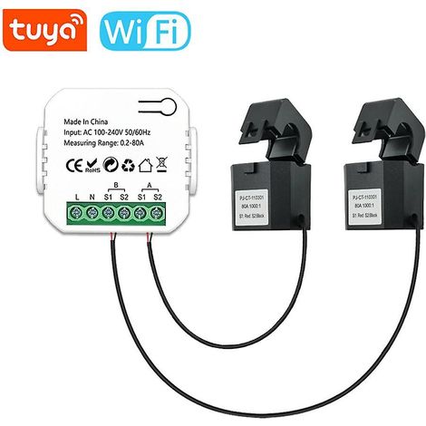 Tuya WLAN-Intelligenter Energiezähler für Solaranlagen (PV-Anlage) – Bidirektionale Messung von Stromerzeugung und -verbrauch – Monito-2CT-Mehrfarbig