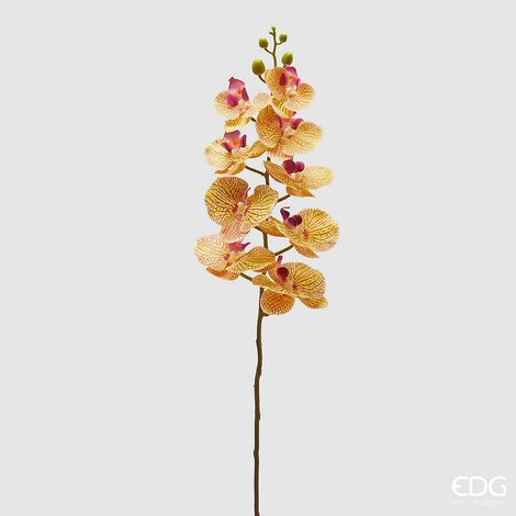 EDG Enzo De Gasperi Orchidea Phalaenopsis Ramo Artificiale H 94 Cm Yellow