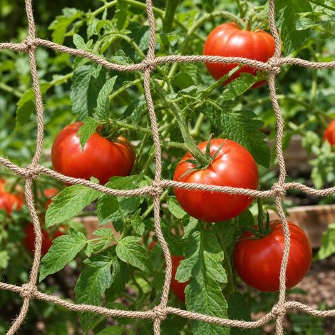 Teenpull – Jute Pflanzenstütznetz Natur 1 x 10 m 100% Tossa Jute (1/5)