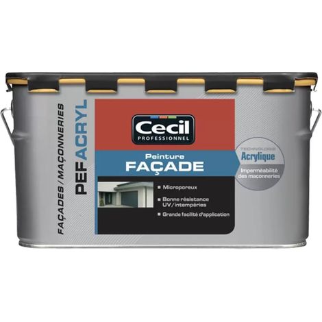 Peinture Façade PEF Acryl CÉCIL Blanc 2,5 L