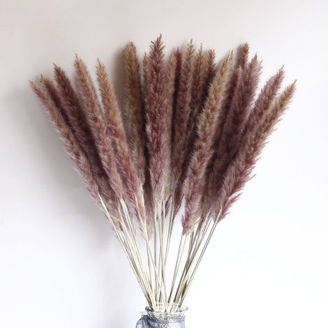 UlisemPetites fleurs séchées en roseau marron 15 épis de fleurs 25CM ou plus (1/4)