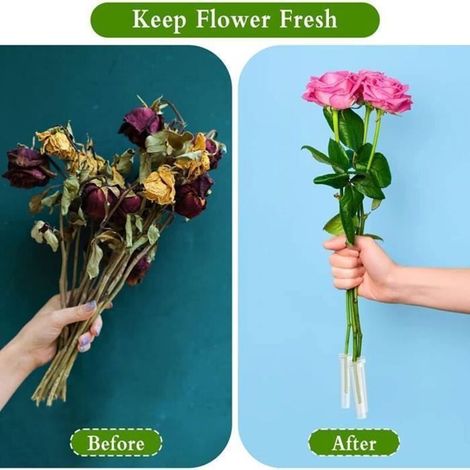 100 Tubes à Eau pour Fleurs en Plastique Réutilisables avec Bouchon en Silicone 10 ml - HUAHAODA