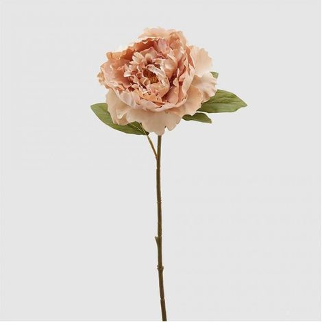 Peonia Epoque ramo da 51 cm color Pesca