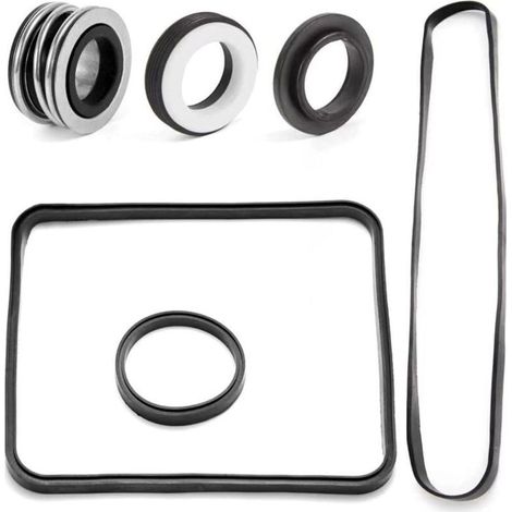 Kit de joints spécifique pour pompes de piscine Hayward, compatible avec les modèles SP2600 et SP1600 (B) (1/5)