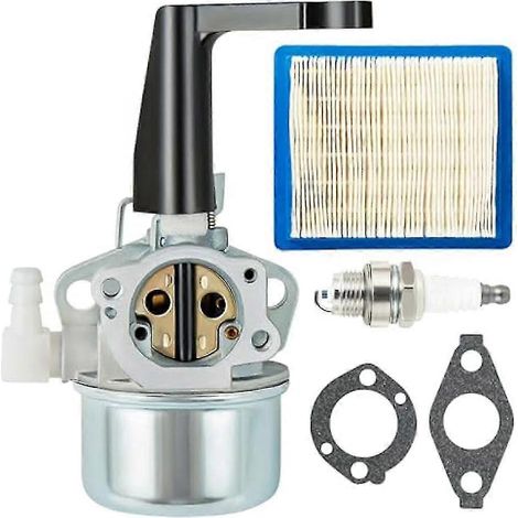 Carburateur 696065 697422 pour moteur à motoculteur Stratton 110402 110412 215369 5 CV 5,5 CV 6 CV 6,5 CV 7 CV (1/5)
