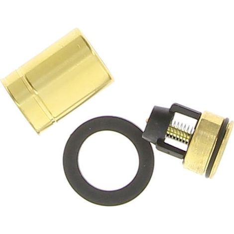Clapet anti retour - DE DIETRICH : 0295193 (1/2)