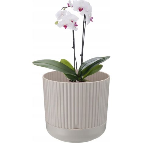 Pot de fleurs décoratif en plastique avec soucoupe, beige, Nostalgie, 15 x 16 cm